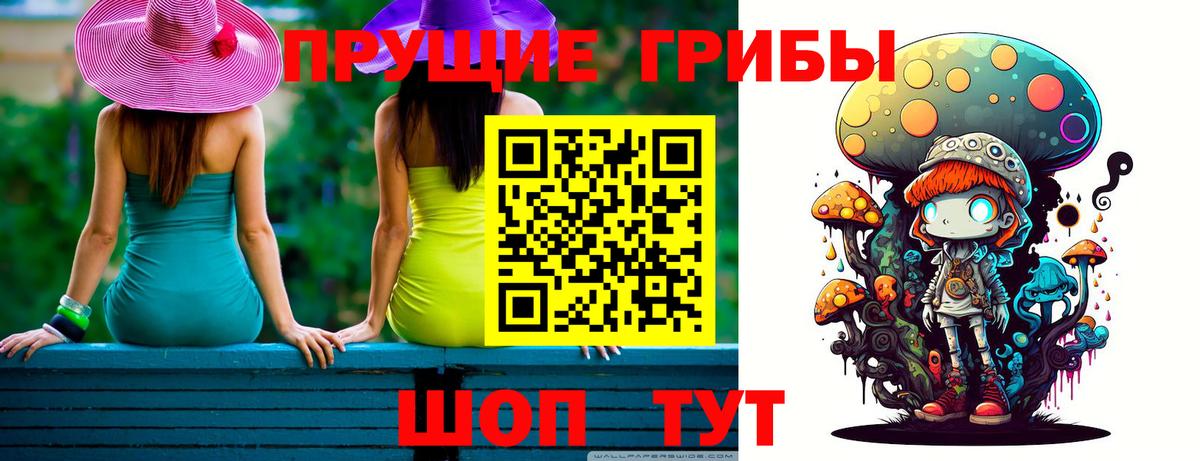 Псилоцибиновые грибы GOLDEN TEACHER  Вход с VPN  Владимир 